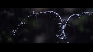 Joanna Cassidy The Fourth Protocol