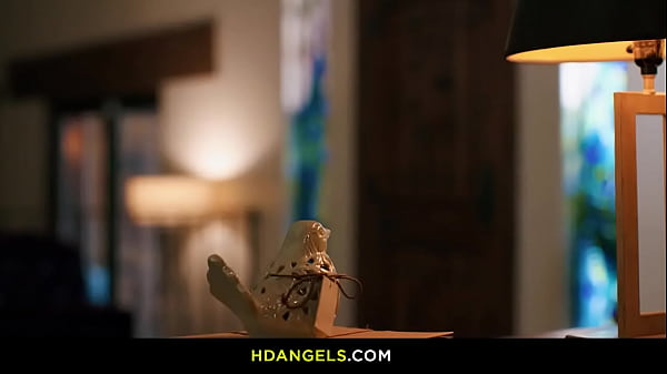 Fortune Favors The Bold – Jayden Cole, Katrina Colt, Alina Ali